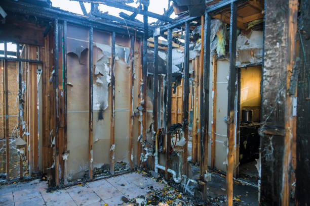 Professional Odor Removal technician working in Spring Valley, WI