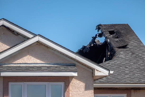 Top rated local Odor Removal specialists in Spring Valley, WI